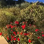Bed & Breakfast Pietra Bianca Ostuni