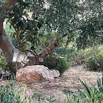 Pietra Bianca Bed & Breakfast 3*