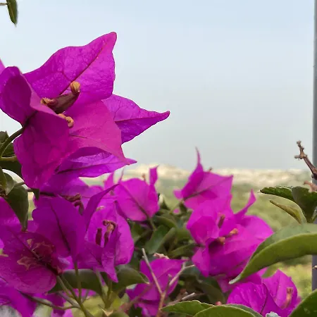 Bed & Breakfast Pietra Bianca 3*