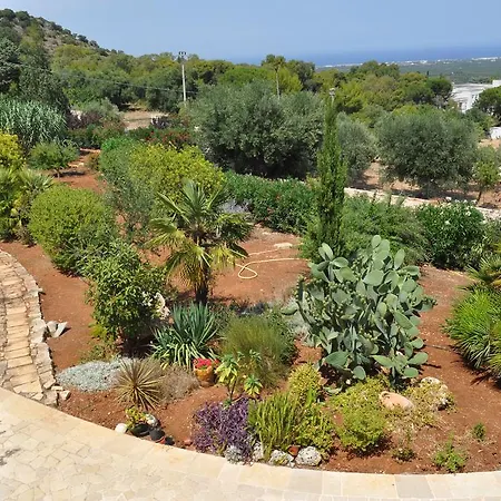 Pietra Bianca Frühstückspension