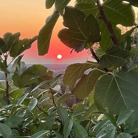 Pietra Bianca Frühstückspension Ostuni