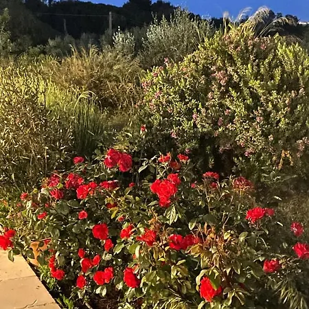 Frühstückspension Pietra Bianca Ostuni