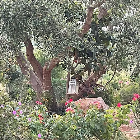 Pietra Bianca 3* Ostuni