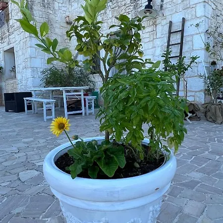 Pietra Bianca Bed & Breakfast Ostuni