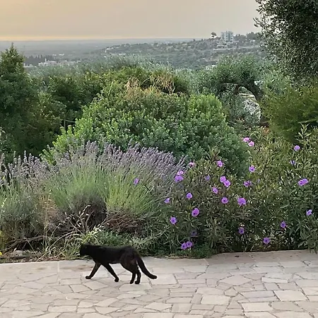 Frühstückspension Pietra Bianca 3*