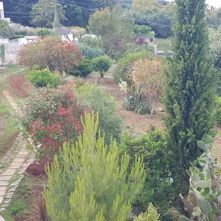 Frühstückspension Pietra Bianca 3*