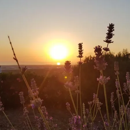 Pietra Bianca Frühstückspension