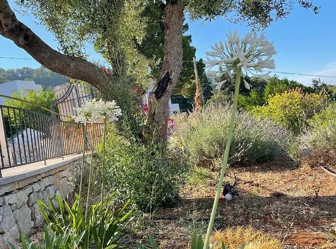 Pietra Bianca 3* Ostuni