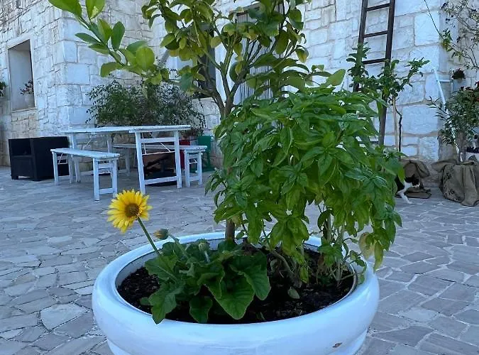 Pietra Bianca Couette-café Ostuni