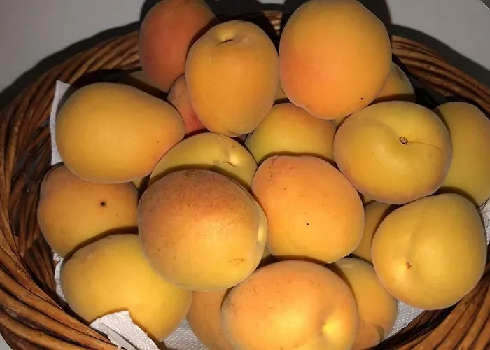 Pietra Bianca Couette-café Ostuni