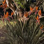 Pietra Bianca 3*