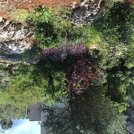 Bed and Breakfast Pietra Bianca