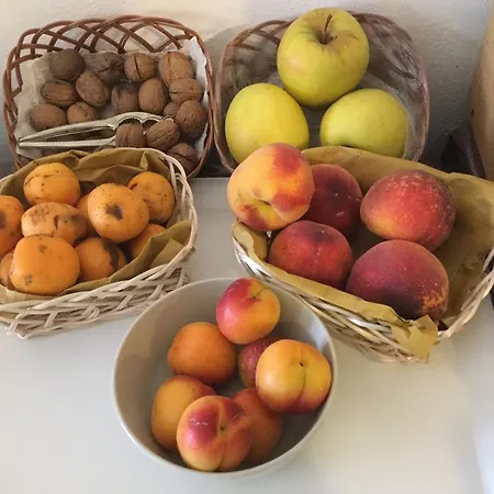 彼得拉比安卡b&b旅馆