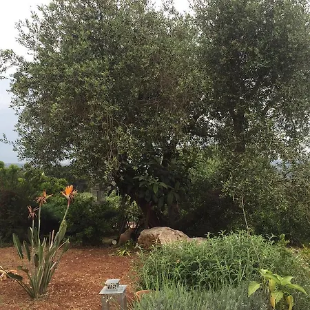 Pietra Bianca Ostuni