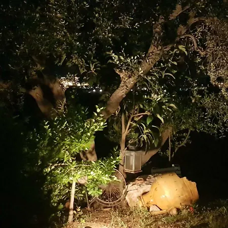 彼得拉比安卡b&b旅馆 3* 奥斯图尼